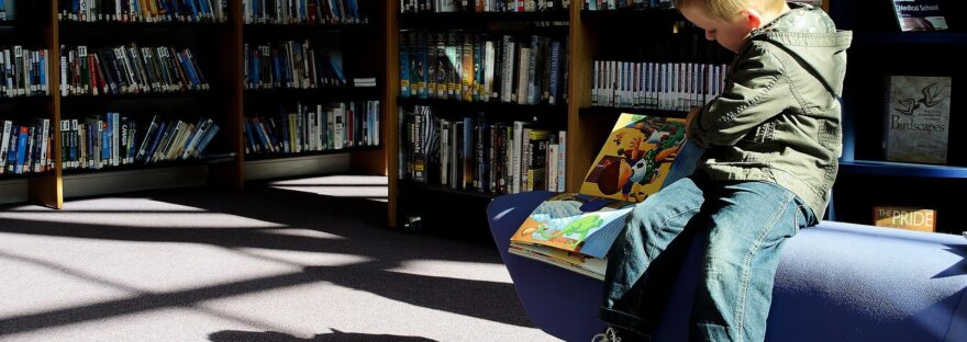 lockdown children's book reviews