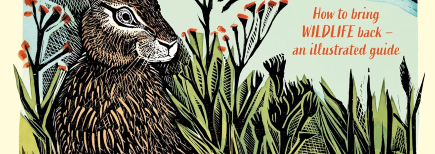 Wilding: How to Bring Wildlife Back book cover for review